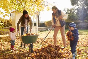 12 Tips to Avoid Lower Back Pain While Raking Leaves